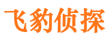 乐都市侦探调查公司